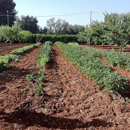 Çiftlik konaklama Parcomonsignore San Vito dei Normanni